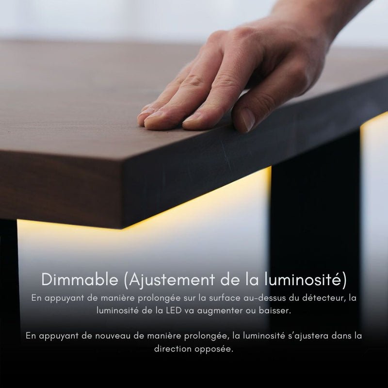 Interrupteur Invisible à Effleurement Dimmable DC12 - 24V Noir - Silamp France