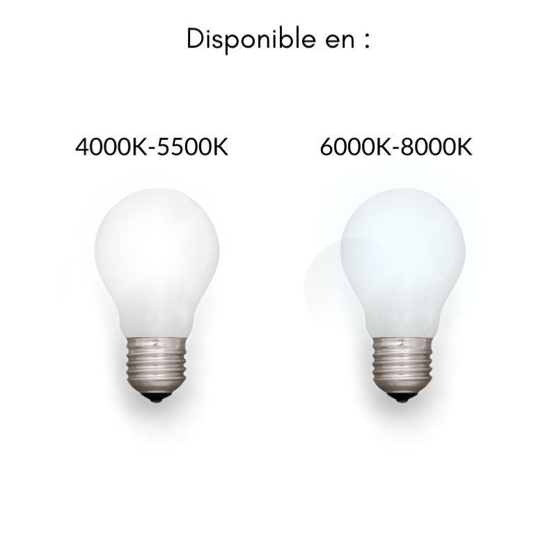 Ingelec LOT DE 10 LAMPES LED AMPOULES B22 9W ECONOMIQUE LUMIÈRE