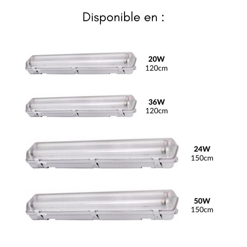 Kit de Réglette LED IP65 + Tube Néon LED 150cm T8 22W - Blanc Froid 6000K -  8000K - SILAMP - Achat & prix